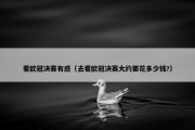 看欧冠决赛有感（去看欧冠决赛大约要花多少钱?）