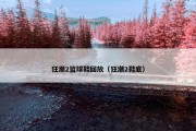 狂潮2篮球鞋回放（狂潮2鞋底）