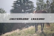 上海女子足球队总教练？ 上海女足主教练？