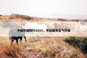 中超外援排行2023，中超最有名气外援