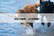 足坛185球员？ 183足球明星？