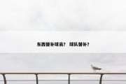 东西替补球员？ 球队替补？