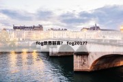 fog世界联赛？ fog2017？