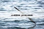 nba联赛等级（nba有几级联赛）