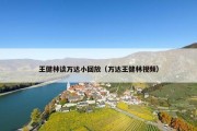 王健林谈万达小回放（万达王健林视频）