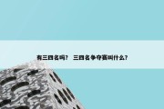 有三四名吗？ 三四名争夺赛叫什么？