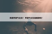 陕西甲醇气化灶？ 甲醇气化灶烧精醇吗？