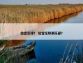 信宜足球？ 信宜足球俱乐部？