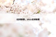 i足球联赛，2022足球联赛