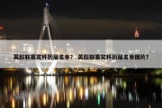 英超联赛奖杯历届名单？ 英超联赛奖杯历届名单图片？