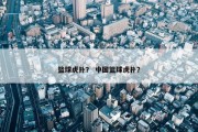 篮球虎扑？ 中国篮球虎扑？