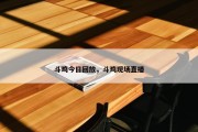 斗鸡今日回放，斗鸡现场直播
