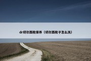 dr切尔西靴保养（切尔西靴子怎么洗）