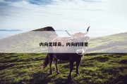 内向足球员，内向的球星