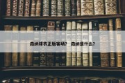 森纳球衣正版客场？ 森纳是什么？