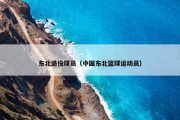 东北退役球员（中国东北篮球运动员）