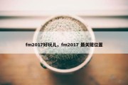 fm2017好玩儿，fm2017 最关键位置