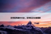 足球后院图片大全，足球后卫位置图解