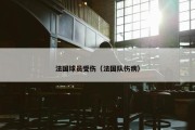 法国球员受伤（法国队伤病）