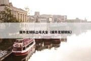 国外足球队口号大全（国外足球球队）