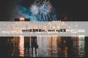 nest首发阵容sn，nest vg首发