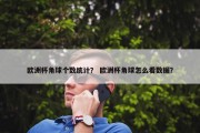 欧洲杯角球个数统计？ 欧洲杯角球怎么看数据？