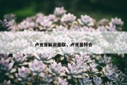 卢克肖解说曼联，卢克曼转会