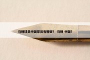 马刺球员中国球员有哪些？ 马刺 中国？