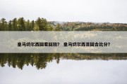 皇马切尔西回看回放？ 皇马切尔西首回合比分？