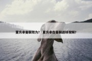 董方卓曼联效力？ 董方卓在曼联进球视频？