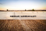 中国球队山东（山东球队叫什么名字）