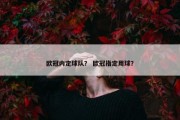 欧冠内定球队？ 欧冠指定用球？