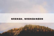 有欢笑有泪水，有欢笑有泪水有感动有