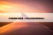 沙特联赛欧洲联赛（沙特足球超级联赛排名）