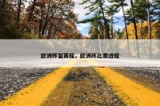 欧洲杯复赛程，欧洲杯比赛进程