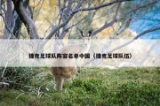 捷克足球队阵容名单中国（捷克足球队伍）