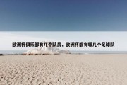 欧洲杯俱乐部有几个队员，欧洲杯都有哪几个足球队