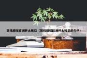 贺炜感叹欧洲杯太残忍（贺炜感叹欧洲杯太残忍的句子）