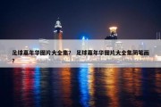足球嘉年华图片大全集？ 足球嘉年华图片大全集简笔画？