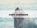 尤尤阵容（尤拉阵容搭配贴吧）