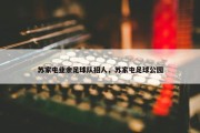 苏家屯业余足球队招人，苏家屯足球公园