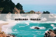 森纳最经典图片（森纳的意思）