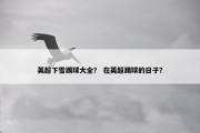 英超下雪踢球大全？ 在英超踢球的日子？