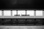 b组分析（金属组分析）