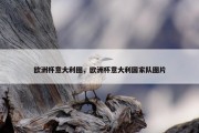 欧洲杯意大利图，欧洲杯意大利国家队图片