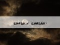 欧洲杯胜负22？ 欧洲杯胜负彩？