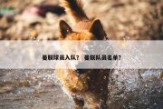 曼联球员入队？ 曼联队员名单？