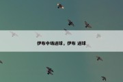 伊布中场进球，伊布 进球