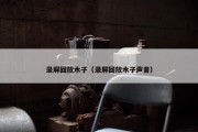 录屏回放木子（录屏回放木子声音）