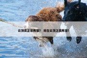 云顶奕正常阵容？ 现在云顶之奕阵容？